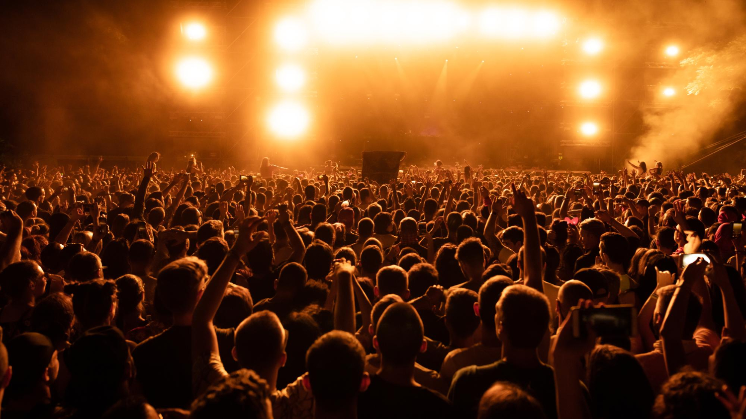 Crowd at a reggae festival